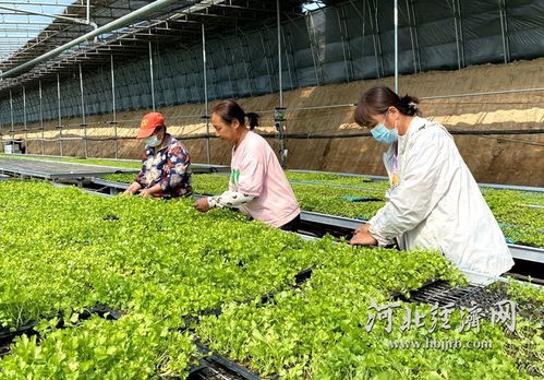 農業科技向新而行，希望田野喜看豐景