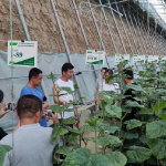 中國農(nóng)業(yè)科學(xué)院蔬菜花卉研究所 推動(dòng)農(nóng)業(yè)技術(shù)創(chuàng)新的前沿力量