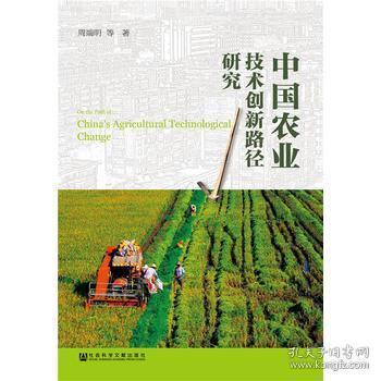 中國農業技術創新路徑研究 探索現代農業發展的核心動力