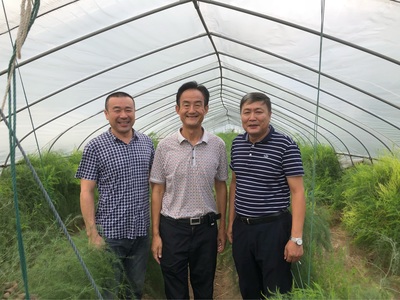 技術引領產業振興 陳光宇博士赴南通雙羊考察助推蘆筍產業高質量發展